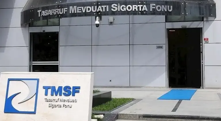 TMSF iki şirketi satışa çıkardı