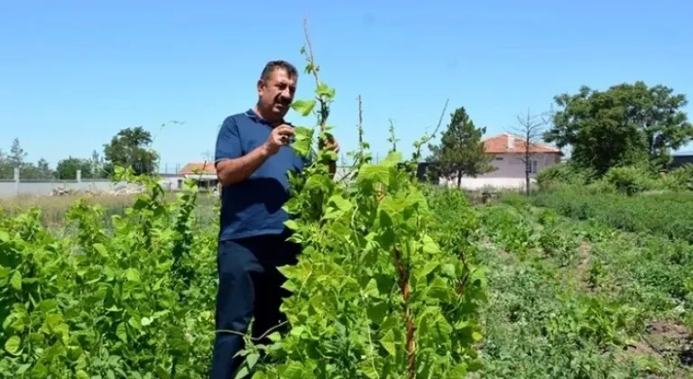 Ziraat Mühendislerine Kendi Çiftliklerini Kurma Desteği